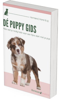 afbeelding puppygids