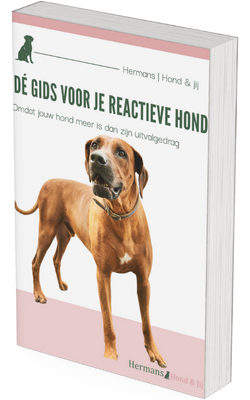 afbeelding puppygids
