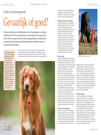 OH2403-NVGH-Trends_page1_200x267 (1)