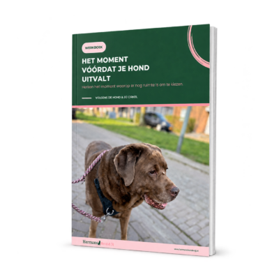 Werkboek- Het moment vóórdat je hond uitvalt
